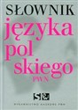 Słownik języka polskiego PWN z płytą CD