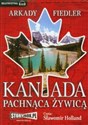 [Audiobook] Kanada pachnąca żywicą