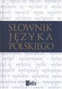 Słownik języka polskiego