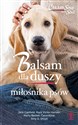 Balsam dla duszy miłośnika psów