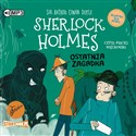 CD MP3 Ostatnia zagadka. Klasyka dla dzieci. Sherlock Holmes. Tom 20