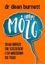 Happy Mózg Skąd bierze się szczęście i co mózgowi do tego - Dean Burnett