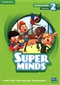 Super Minds 2 Flashcards British English