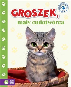 Groszek mały cudotwórca