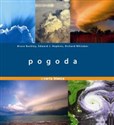 Pogoda - Bruce Buckley, Edward Hopkins, Richard Whitaker