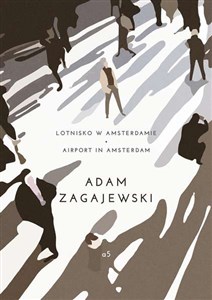 Lotnisko w Amsterdamie/Airport in Amsterdam