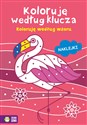 Koloruję według klucza Koloruję według wzoru