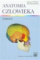 Anatomia człowieka Tablice - Johannes W. Rohen, Elke Lutjen-Drecoll