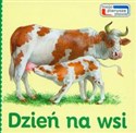 Dzień na wsi rozkładana