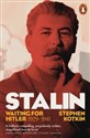 Stalin Waiting for Hitler 1929-1941