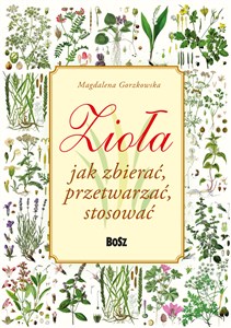 Zioła Jak zbierać, przetwarzać, stosować - Księgarnia UK