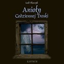 Anioły codziennej troski z płytą CD - Lech Tkaczyk