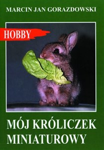 Mój króliczek miniaturowy