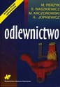 Odlewnictwo - Marcin Perzyk, Stanisław Waszkiewicz, Mieczysław Kaczorowski