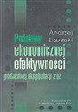 Podstawy ekonomicznej efektywności podziemnej eksploatacji złóż - Andrzej Lisowski