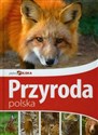 Piękna Polska Przyroda polska 