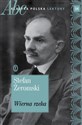 Wierna rzeka. ABC Klasyka polska. Lektury. Tom 18