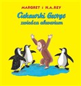 Ciekawski George zwiedza akwarium - Margaret I H.A. Rey