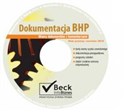 Dokumentacja BHP Wzory dokumentów z komentarzami - 