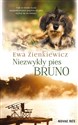 Niezwykły pies Bruno