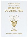 Modlę się do ciebie jezu