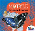 Motyle dzienne i nocne