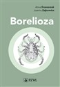 Borelioza