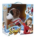 Samby - Pies interaktywny