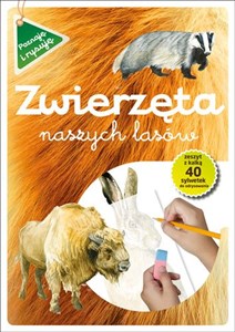 Zwierzęta naszych lasów