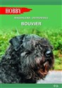 Bouvier