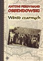 Wśród czarnych - Antoni Ferdynand Ossendowski