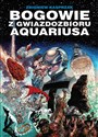 Bogowie z gwiazdozbioru Aquariusa - Wiesława Wierzchowska