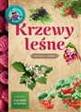 Młody obserwator przyrody. Krzewy leśne. 