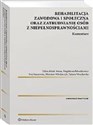 Rehabilitacja zawodowa i społeczna oraz zatrudnianie osób z niepełnosprawnościami Komentarz  - Ewa Staszewska, Mirosław Włodarczyk, Magdalena Paluszkiewicz