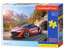 Puzzle Sports Car 100 - 