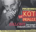 [Audiobook] Kot w pralce - Jerzy Iwaszkiewicz