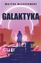 Galaktyka - Wojtek Miłoszewski