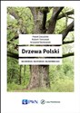 Drzewa Polski Najgrubsze Najstarsze Najsłynniejsze - Paweł Zarzyński, Robert Tomusiak, Krzysztof Borkowski