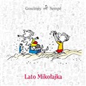 Lato Mikołajka