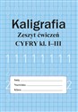 Kaligrafia Litery 1-3 Zeszyt ćwiczeń - Monika Ostrowska