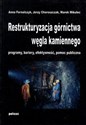 Restrukturyzacja górnictwa węgla kamiennego programy, bariery, efektywność, pomoc publiczna