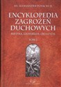 Encyklopedia Zagrożeń Duchowych Tom 2 mistyka, ezoteryzm, okultyzm - Aleksander Posacki