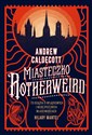 Miasteczko Rotherweird - Andrew Caldecott