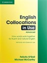 English Collocations in Use: Advanced