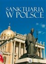 Sanktuaria w Polsce - Koryna Dylewska