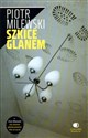 Szkice glanem