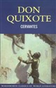 Don Quixote