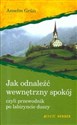 Jak odnaleźć wewnętrzny spokój czyli przewodnik po labiryncie duszy