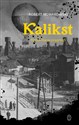 Kalikst Fermentacja pragnień - Robert Nowakowski