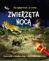 Jak wygląda świat... po zmroku Zwierzęta nocą Nocne safari z latarką w ręku - dla śmiałych odkrywców! - Lisa Regan